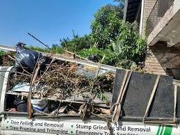 Best Retail Junk Removal  in Elbow Lake, MN