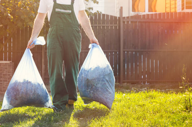 Best Scrap Metal Removal  in Elbow Lake, MN